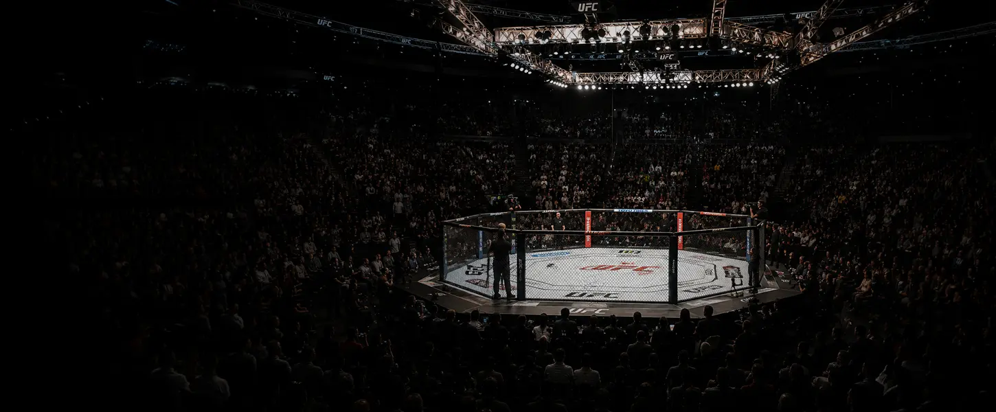 UFC arena seen from above with the Octagon at center